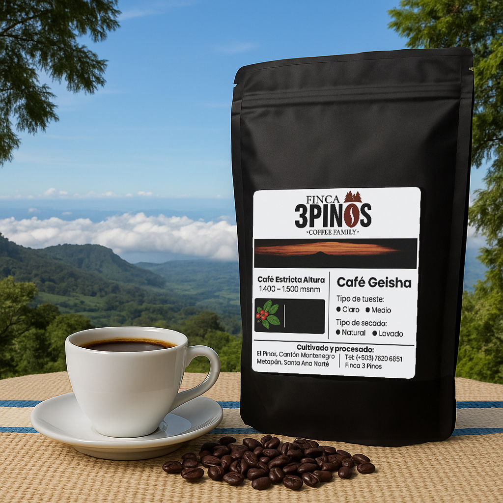 Coffee Geisha — Cultivated in the mountains of Metapán, El Salvador